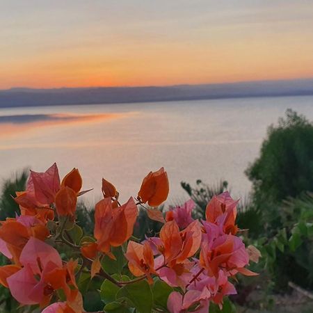 Sweimeh Comfy Stays Sea View Apartments At Deadsea Samarah Resort מראה חיצוני תמונה