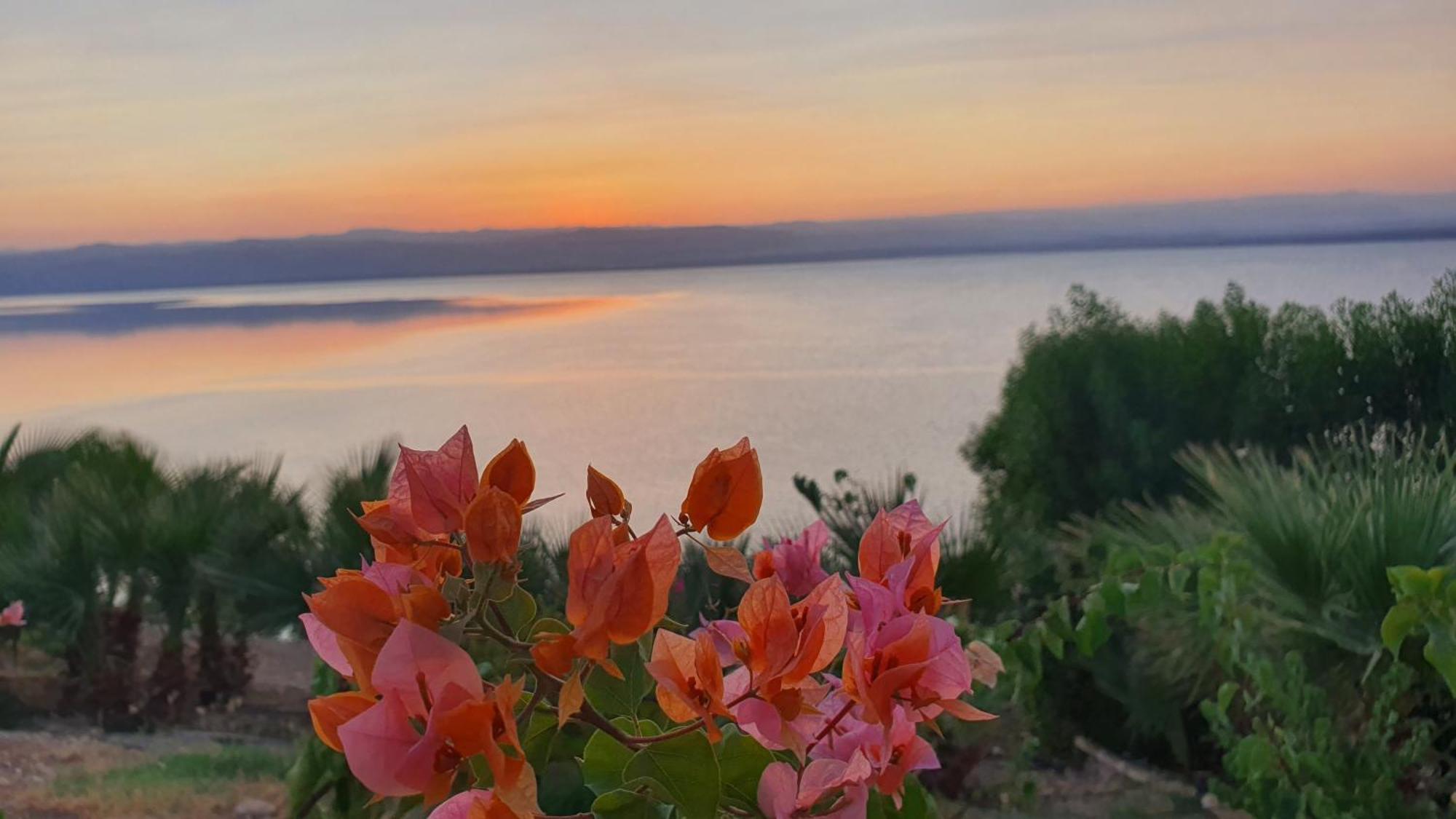 Sweimeh Comfy Stays Sea View Apartments At Deadsea Samarah Resort מראה חיצוני תמונה