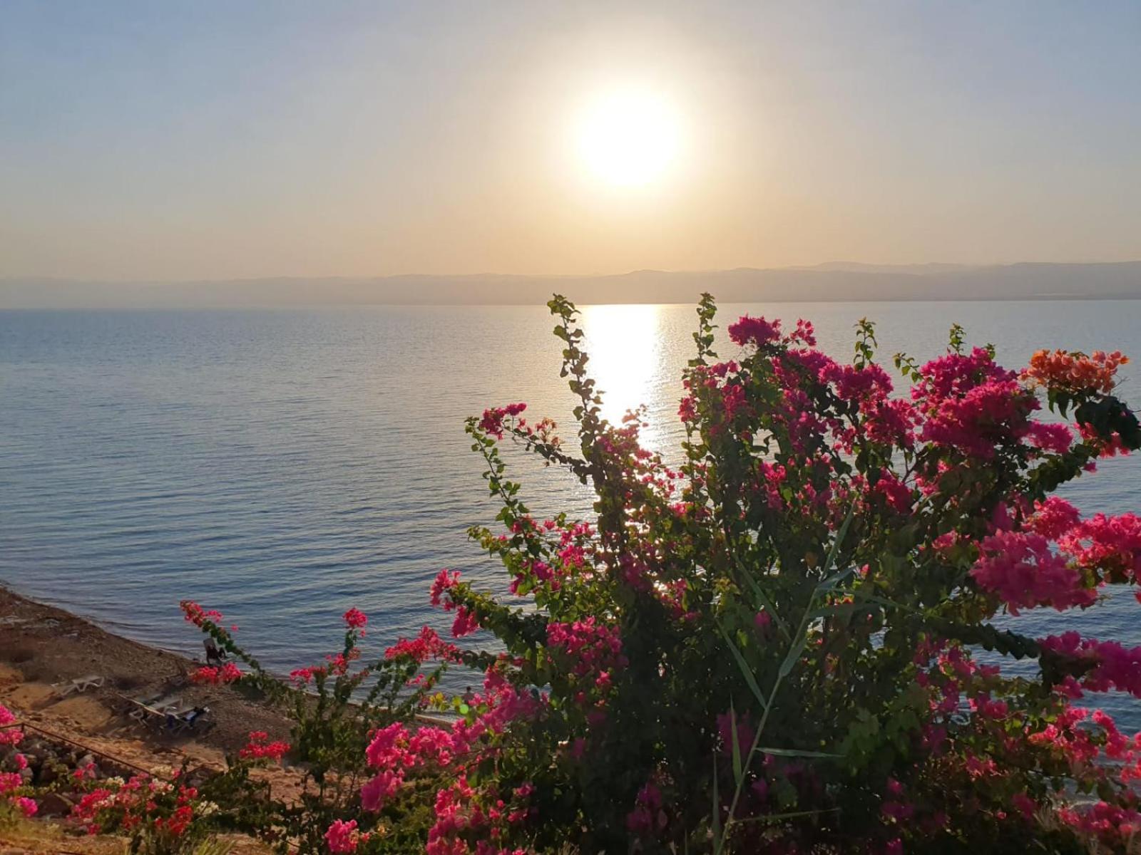 Sweimeh Comfy Stays Sea View Apartments At Deadsea Samarah Resort מראה חיצוני תמונה